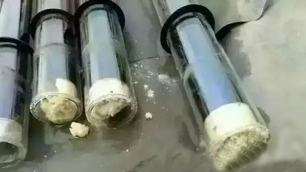 南京頂熱 南京頂熱