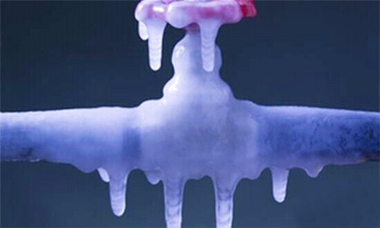 南京頂熱 南京頂熱