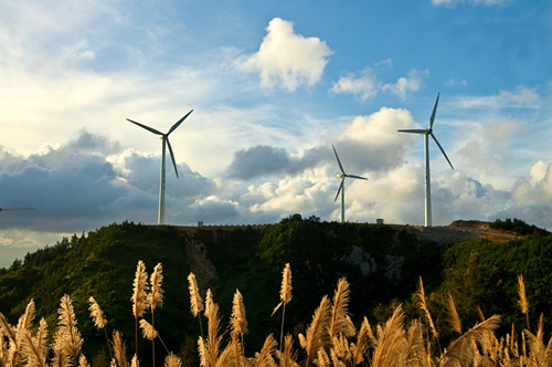 南京頂熱 南京頂熱